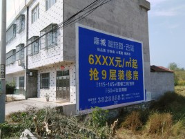 中江墙体广告质量分析