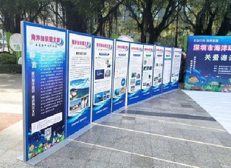 中江KT板的种类和知识。